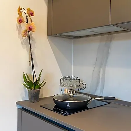 B&z Luxury 4* בארי